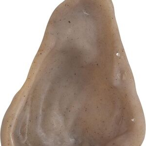Pet Qwerks Pigs Ear BarkBone Nylon Dog Toy Bone for Aggressive Chewers Bacon